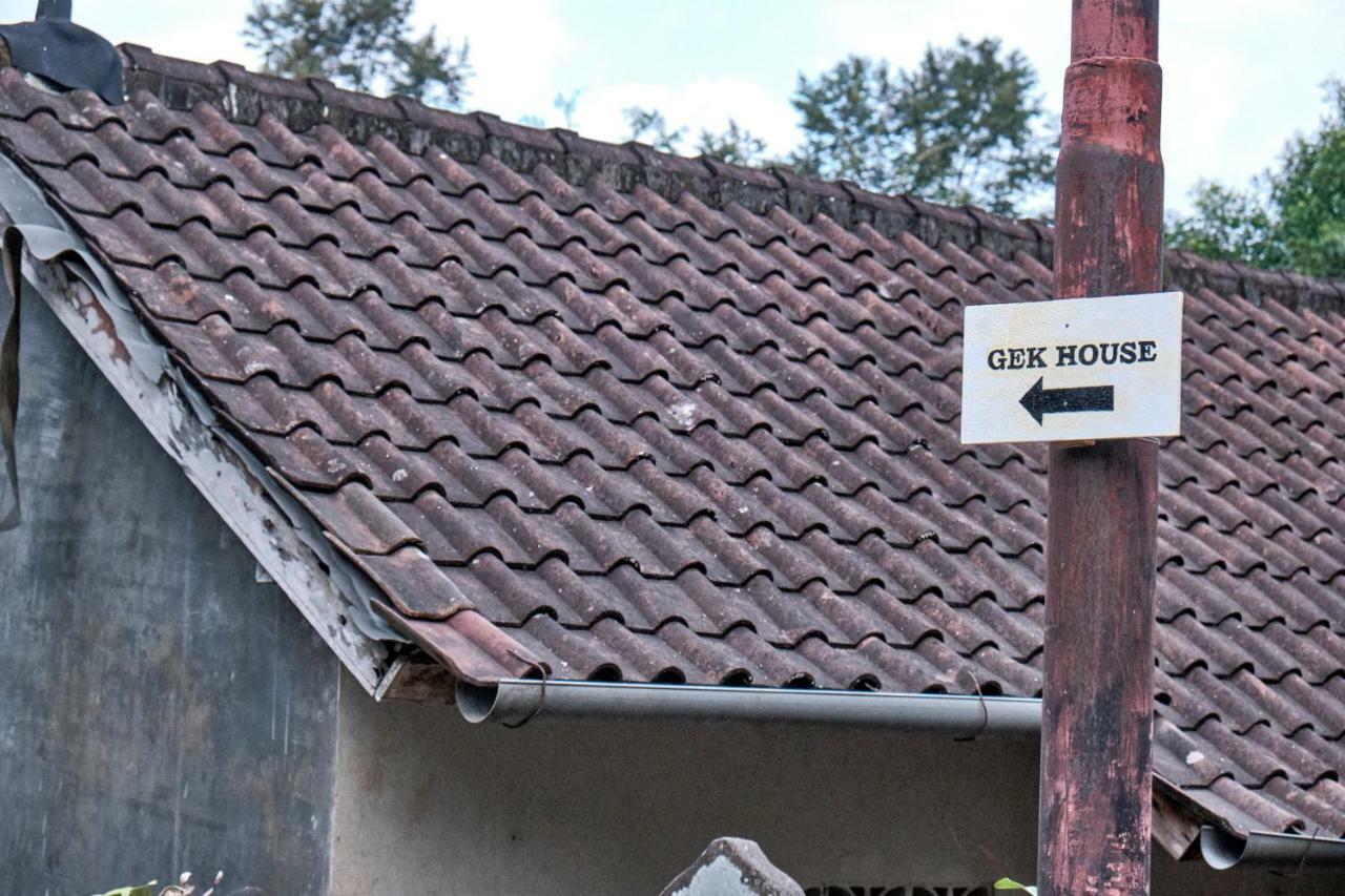 Gek House Ουμπούντ Εξωτερικό φωτογραφία